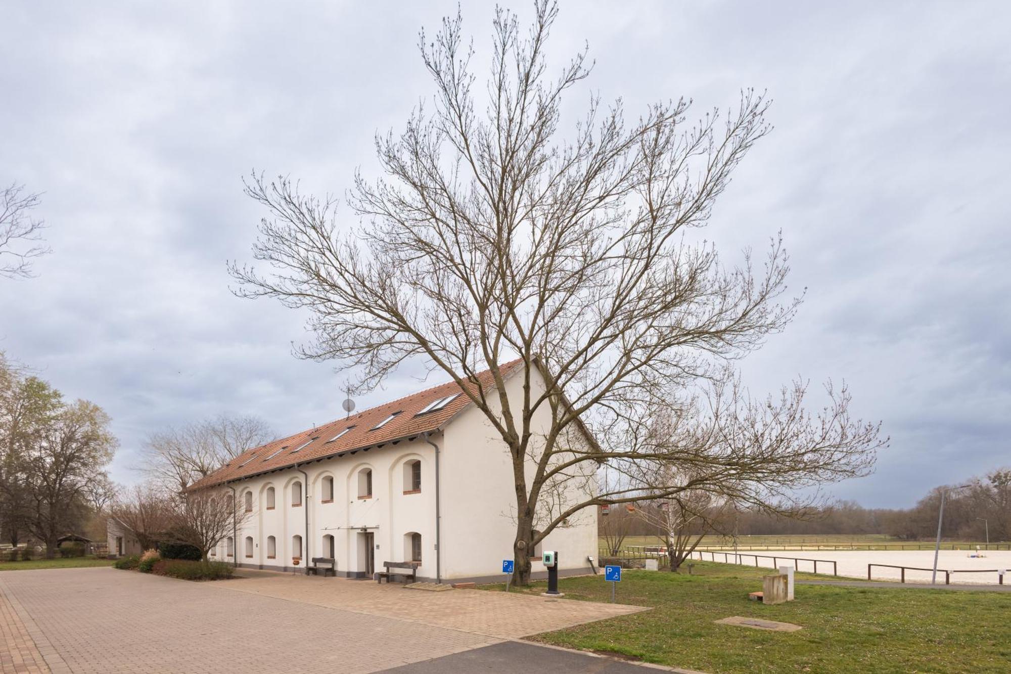 Vadkert Major Hotel Sárvár Екстериор снимка